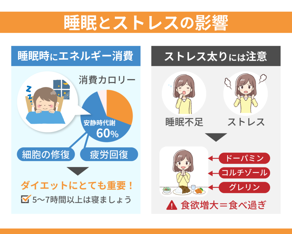 食事制限してるのに痩せないのはなぜ 理由と原因を専門家が解説します ウェルネクスblog